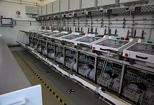 Sp&uuml;lmaschinen-Multitabs - Foto: Stiftung Warentest/dpa-tmn