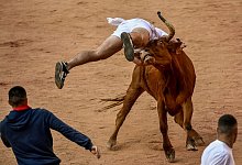 Stierhatz in Spanien - Alvaro Barrientos/AP