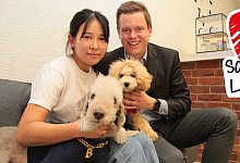 Auf den Hund gekommen - Carolin Brokmann-F&ouml;rster