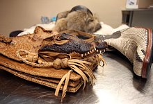 Beschlagnahmte Mitbringsel - Foto: Sebastian Willnow/dpa