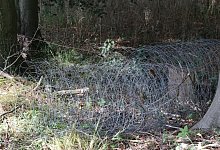 Drahtreste Wald - Privat.