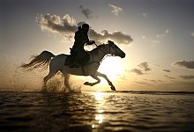 Zu Pferd durchs Wasser - Foto: dpa