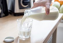 Die Milch macht's - Foto: Christin Klose/dpa-tmn