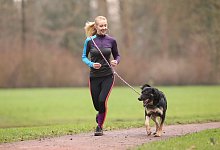 Tipps vom Profi: So klappt Sport mit dem Hund - Foto: Markus Hibbeler/dpa-tmn