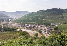 Weinbau - Foto: Philipp von Ditfurth/dpa