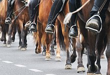 Besser n&uuml;chtern aufs Pferd - Foto: Annette Riedl/dpa/dpa-tmn