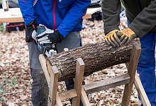 Akku-Säbelsäge von Bosch - Foto: selbst ist der Mann/dpa-tmn