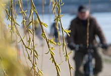 Fr&uuml;hling in Hessen - Foto: Sebastian Gollnow/dpa