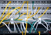 Netzwerkkabel - Foto: Jens B&uuml;ttner/dpa-Zentralbild/dpa