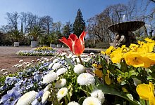 Au&szlig;enstandorte der BUGA - Foto: Michael Reichel/dpa