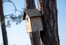 Ein Nistkasten h&auml;ngt an einem Baum - Foto: Andrea Warnecke/dpa-tmn