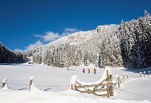 Schneetour - Foto: Franz Gerdl/dpa-tmn