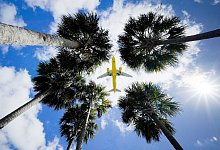 Lockerungen - Foto: Gene J. Puskar/AP/dpa