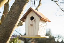 Was bei Nistk&auml;sten f&uuml;r Vogelk&uuml;ken z&auml;hlt - Foto: Christin Klose/dpa-tmn