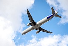 Auf und davon? - Foto: Sina Schuldt/dpa-tmn