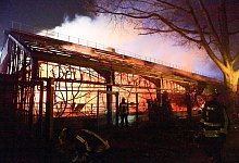 Brand in Affenhaus - Foto: Andreas Drabben/dpa
