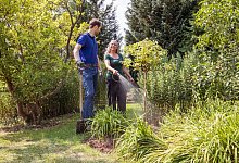 G&auml;rtnern im Herbst - Foto: Christin Klose/dpa-tmn
