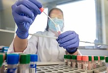 PCR-Testlabor - Foto: Sebastian Kahnert/dpa-Zentralbild/dpa