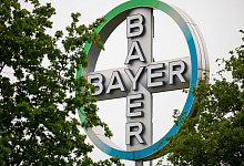 Bayer - Foto: Oliver Berg/dpa