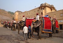 Infektionsrisiko beim Reiten Elefanten - Foto: Simone A. Mayer