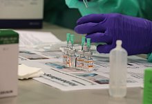 Coronavirus - Foto: Bodo Schackow/dpa-Zentralbild/dpa