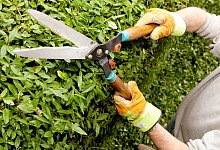 F&uuml;nfprozentige Neigung - Foto: Kai Remmers/dpa-tmn