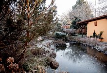 Gartenteich darf nicht zufrieren - Foto: Zacharie Scheurer/dpa-tmn