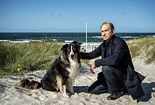 TV Ausblick ZDF - Nord Nord Mord - Sievers und der verlorene Hund - Georges Pauly/ZDF/dpa