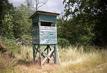 Jagd - Tim W&uuml;rz/dpa