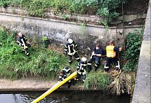 Einsatz an der Werre - Feuerwehr Bad Salzuflen