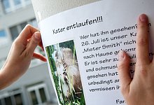 Suchplakat - Foto: Mascha Brichta/dpa-tmn