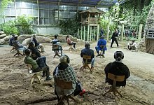 &laquo;Der sechste Kontinent&raquo; - Foto: Silas Stein