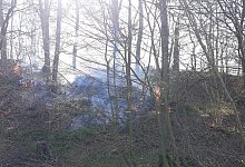 Waldbrand - Feuerwehr Lügde