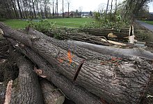 IMG_7632 - Foto: Gerstendorf-Welle