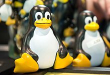 Linux -Maskottchen Tux - Foto: Tobias Kleinschmidt