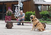 Björn Schakat und Mischling „Basti“ - Andreas Barnekow