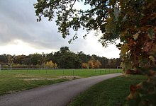 Schlingsbruch - Nadine Uphoff