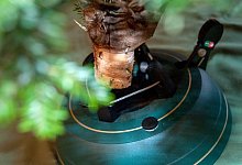 Christbaumst&auml;nder mit Seilzugtechnik - Foto: Andrea Warnecke/dpa-tmn