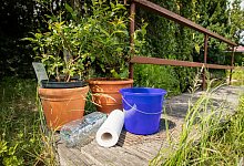 Lifehack Pflanzen bewässern im Urlaub - Christin Klose/dpa-tmn