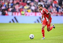 FC Bayern München - Olympique Lyon - Harry Langer/dpa