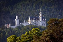 Schloss Neuschwanstein - Karl-Josef Hildenbrand/dpa