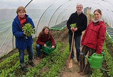Ernte: Vorstandsvorsitzende Lioba Schulte, Bildungsreferentin Maren Weber, Carsten Sperling (Projektleiter SoLaWi 2.0) sowie G&auml;rtnerin Katharina Herzog (von links) bereitet die gemeinsame Arbeit auf dem Acker sehr viel Freude. - Michaela Wei&szlig;e