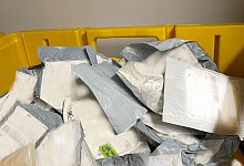 Beschlagnahmte Sendungen mit Saatgut - K. Kaminski/Julius Kühn-Institut (JKI)/dpa