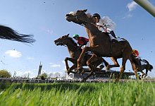 Rennpferde - Holger Hollemann/dpa/dpa-tmn