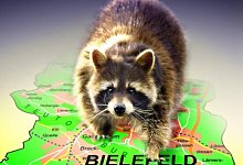 In allen Bielefelder Stadtteilen heimisch - MONTAGE: ANDREAS FR&Uuml;CHT