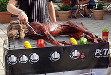 Die Aktivisten von Peta werden eine Hunde-Attrappe auf einem Grill in der G&uuml;tersloher Innenstadt platzieren. - Peta Deutschland