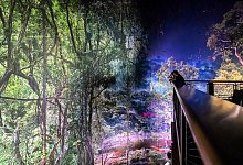 360-Grad-Panorama Amazonien - Uli Deck/dpa/dpa-tmn