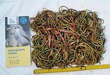 Gummib&auml;nder als Todesfalle f&uuml;r St&ouml;rche - Karsten Peterlein/NABU Leipzig