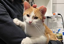 thumbnail_image003 - 1 - Privat