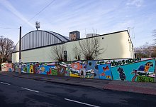 Kölner Zoo - Thomas Banneyer/dpa